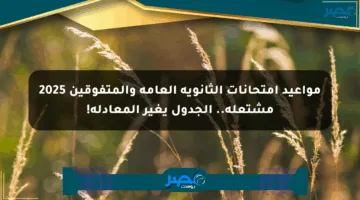 مواعيد امتحانات الثانوية العامة والمتفوقين 2025 مشتعلة.. الجدول يغير المعادلة!